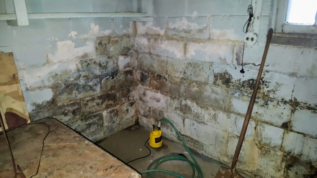pictorial representation of Foundation Restoration
