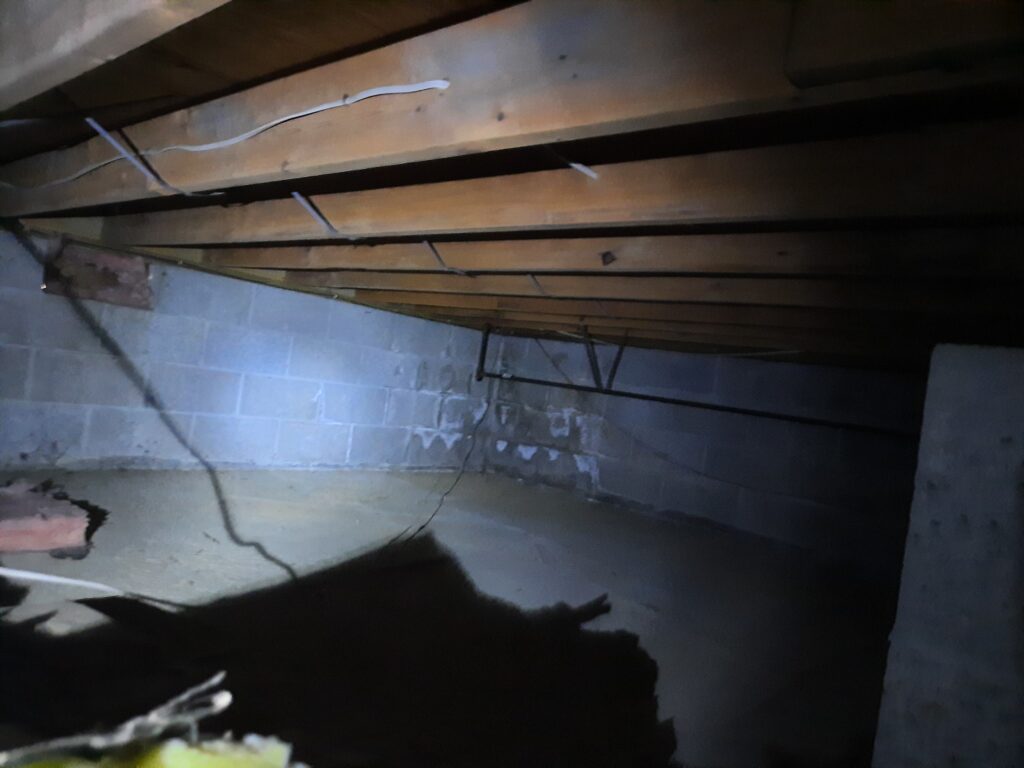 Crawlspace Mold Removal