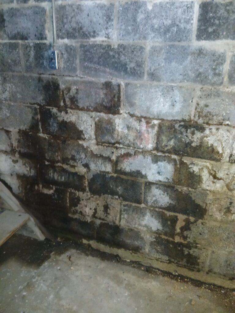 pictorial representation of Foundation Restoration