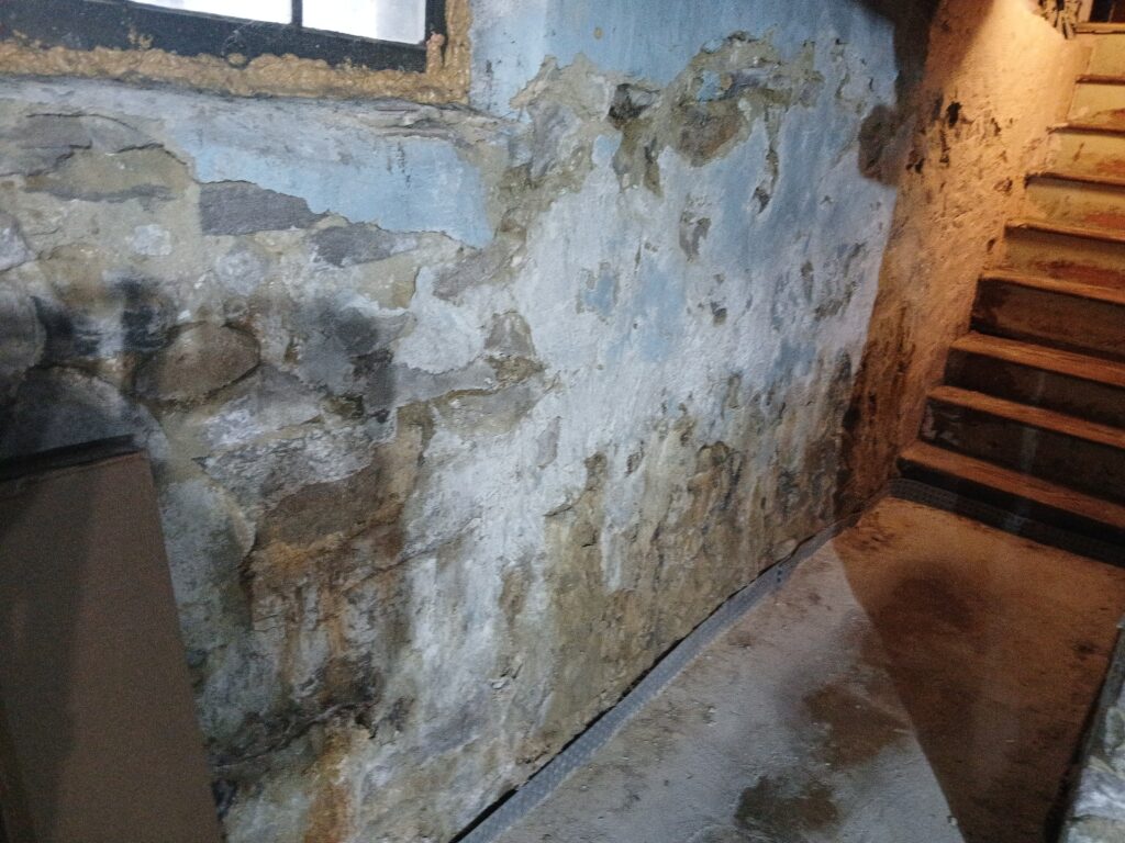pictorial representation of Basement Mold Cleaning