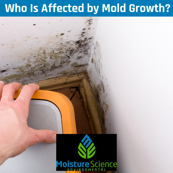 Affected by Mold Growth