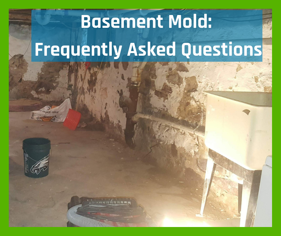 Basement mold answers