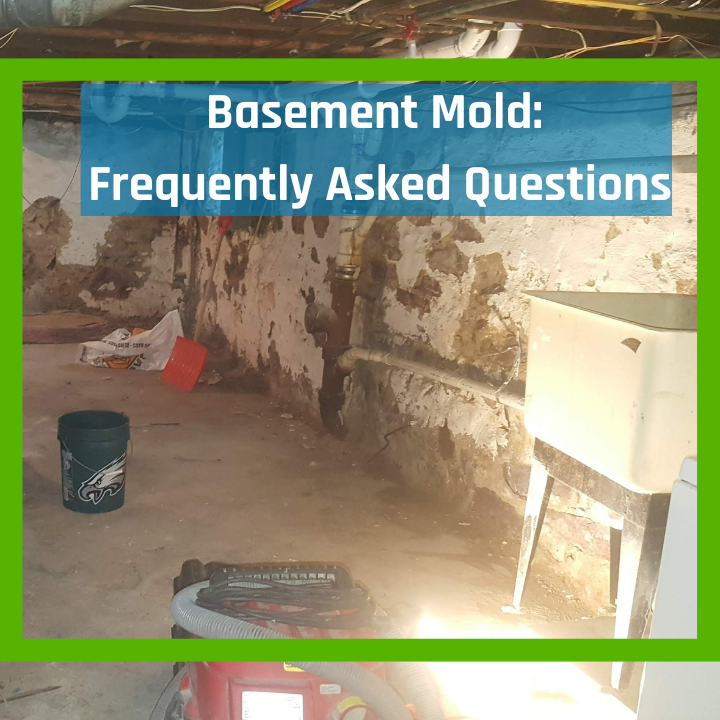 Basement mold answers