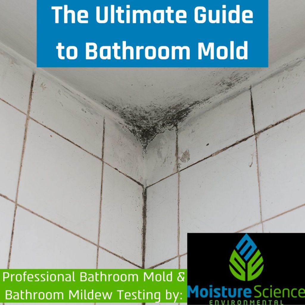 Bathroom Mold Remediation
