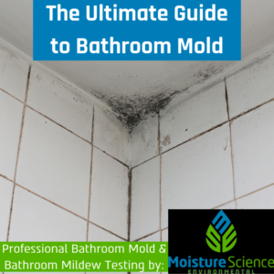What Are Bathroom Molds? | Moisture Science