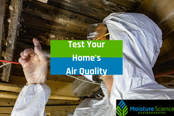 Test Your Home's Air Quality