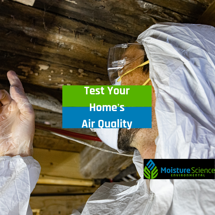 Test Your Home's Air Quality