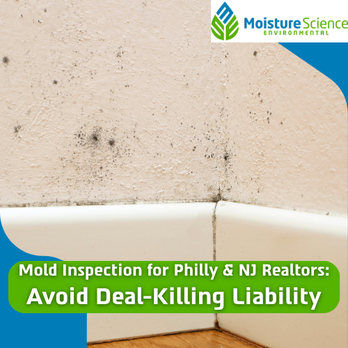 Why Greater Philadelphia Realtors and Property Managers Need a Microbiology-Based Mold Expert 1 Philly & NJ Real Estate Mold Inspection Company