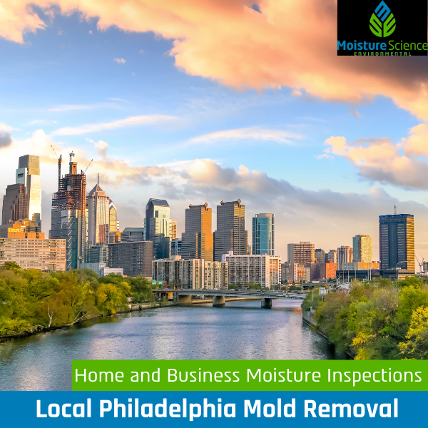 Philadelphia Mold Removal