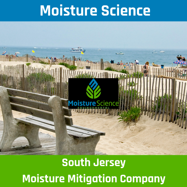 South Jersey Mold Testing Company