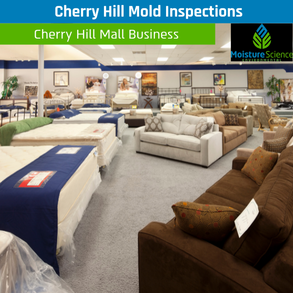 Cherry Hill Mold Inspection