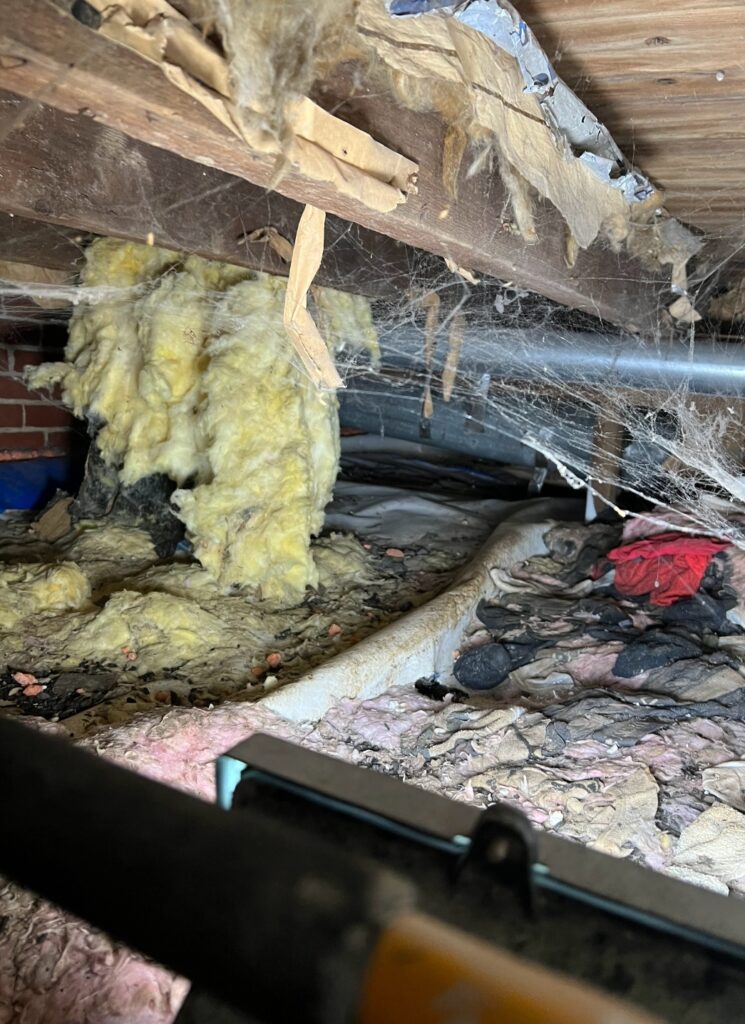 Foundation Restoration Service