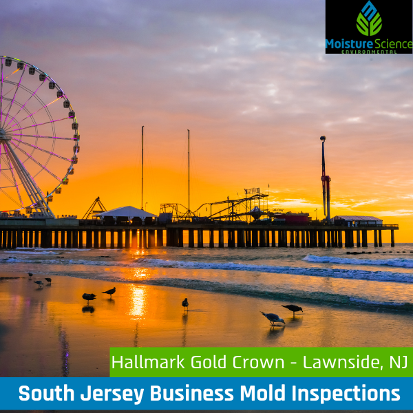 South Jersey Business Mold Inspections